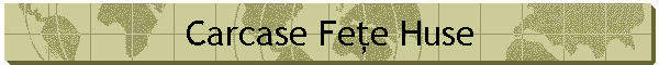 Carcase Feţe Huse