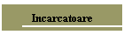 Incarcatoare