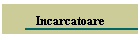 Incarcatoare